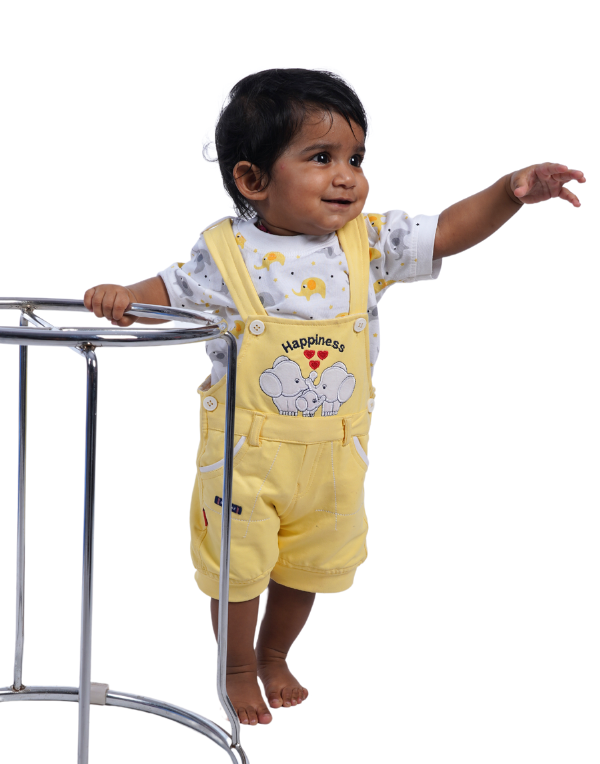 Elephant Kids Dungaree & Inner Tee Set
