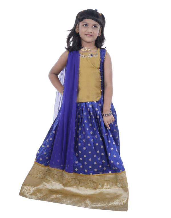 Ethnic Gold & Blue Lehenga Choli