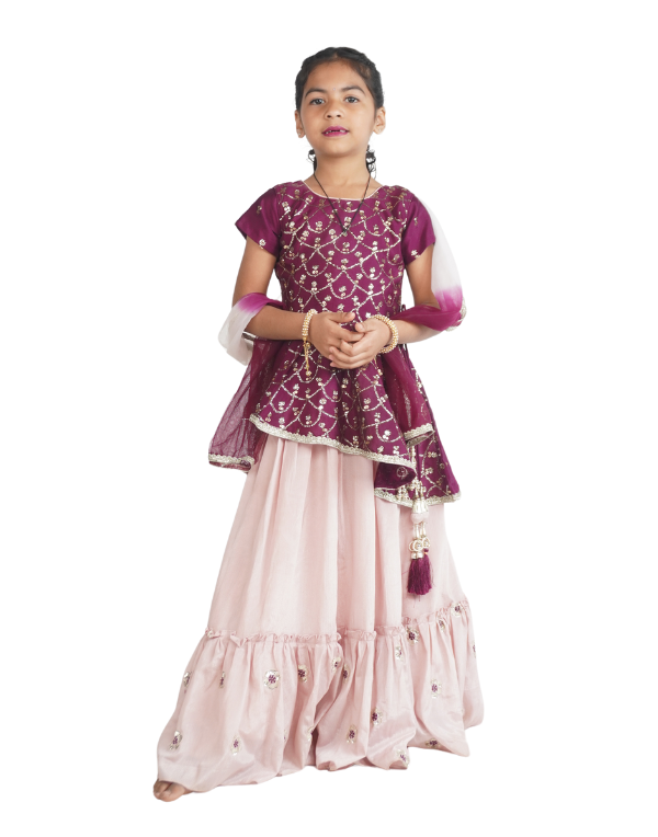 Girls Ethnic Lehenga Choli