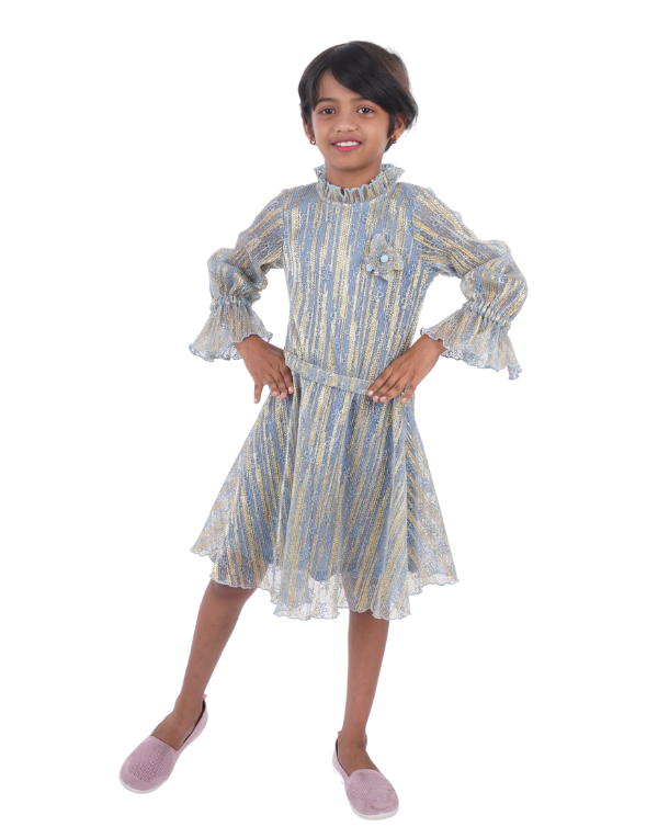 Girls Grey & Blue Stylish Dress