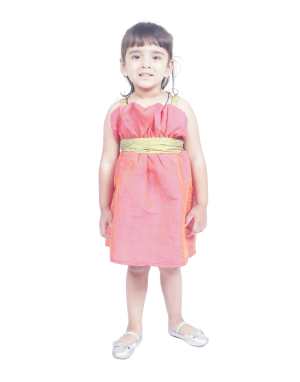 Girls Pink Fancy Dress