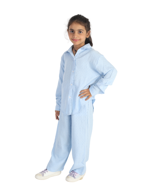 Girls Trendy Blue Clothing Set
