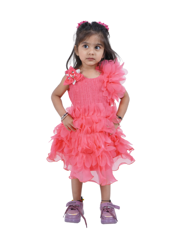 Girls Fit And Flare Pink Dress