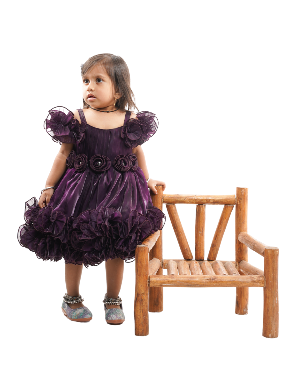 Girls Purple Midi Length Layered Dress