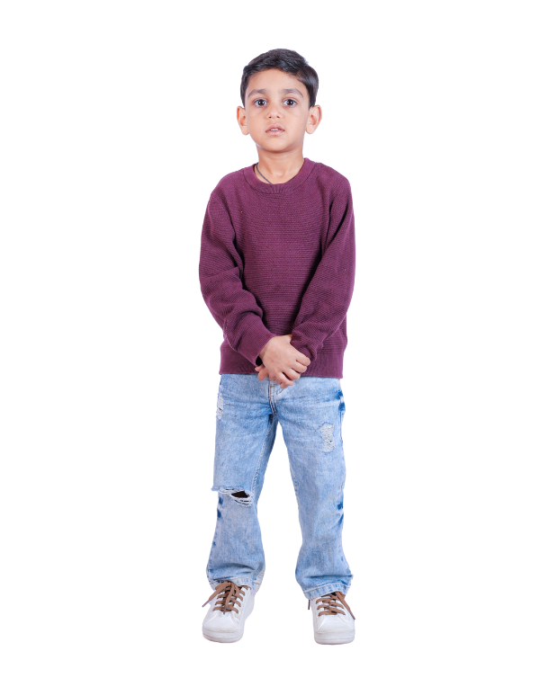 Boys Purple Round Neck Full Sleeves Tee