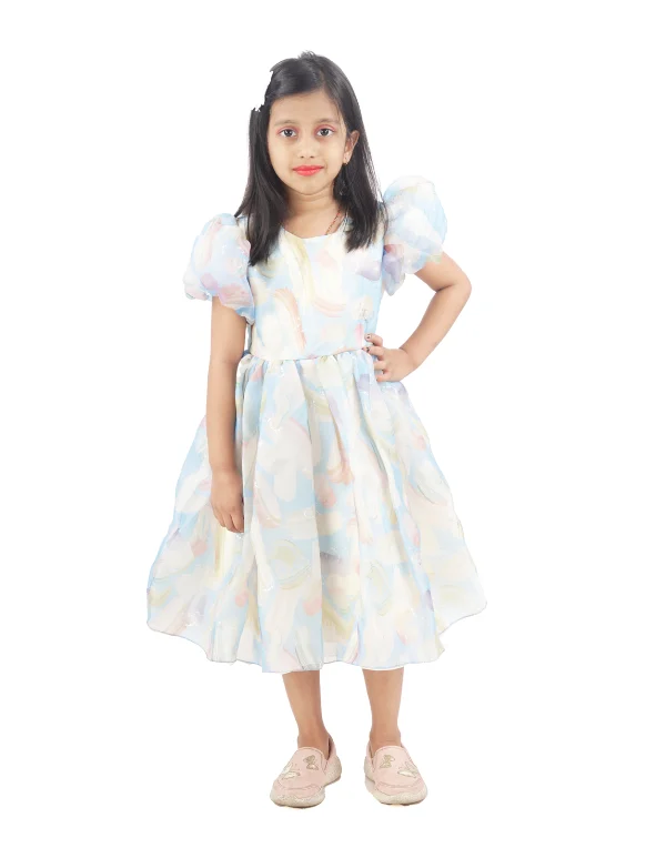 Girls Fit & Flare Multi Color Dress
