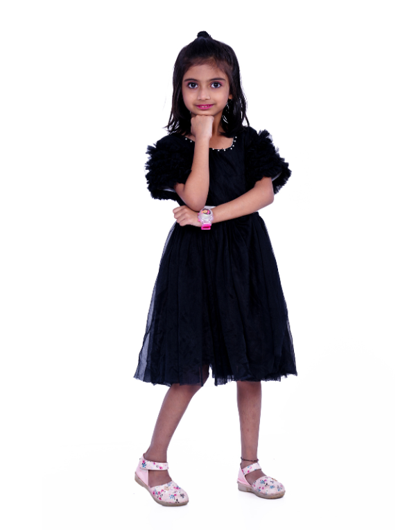 Girls Black Layered Half Sleeeves Fit & Flare Dress
