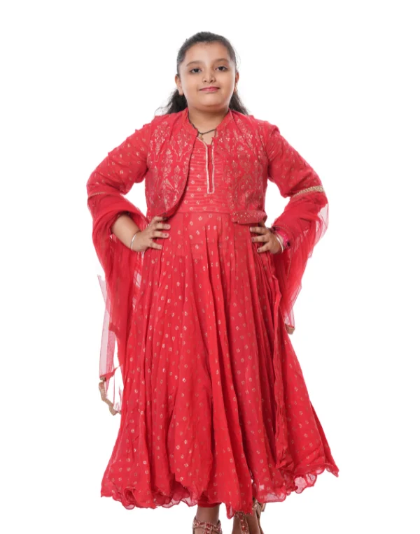 Girls Red Full Sleeves A Line Cotton Blend Dress